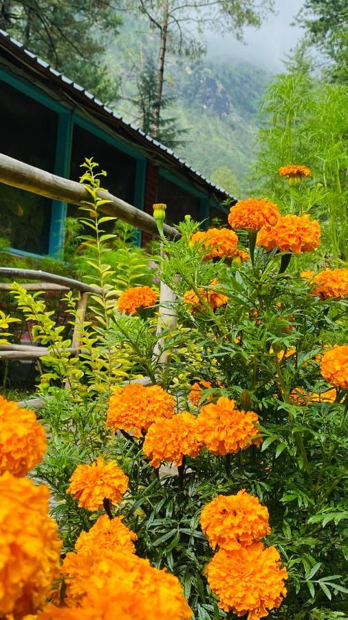 Himtrek Riverside Camps, Kasol Exterior foto